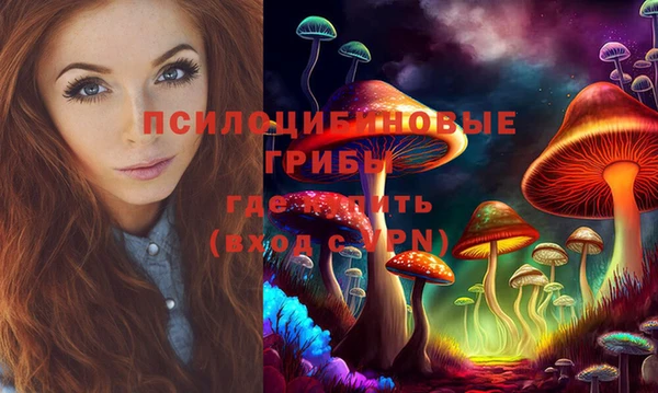 кокс Богородицк