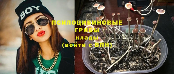 ALPHA PVP Богданович