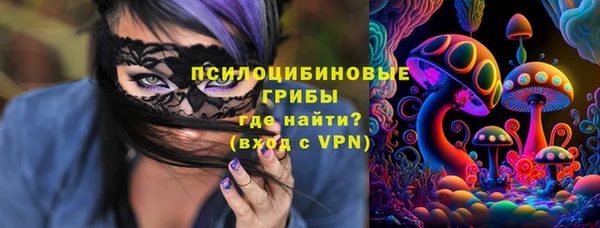 молекула духа Снежинск